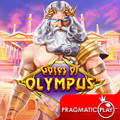 Cổng Olympus c5411